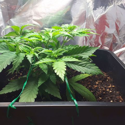 Mary ‎Lou growlog timeline photo
