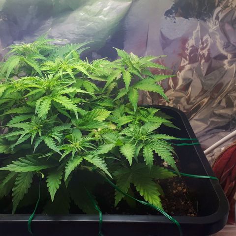 Mary ‎Lou growlog timeline photo