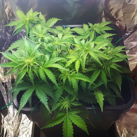 Mary ‎Lou growlog timeline photo