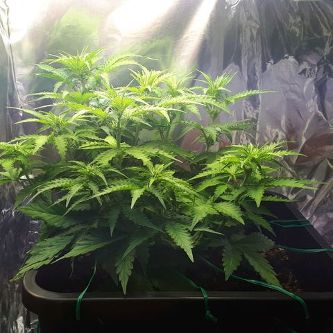 Mary ‎Lou growlog timeline photo