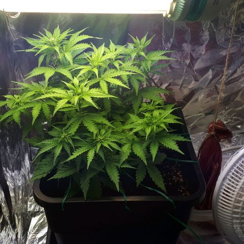 Mary ‎Lou growlog timeline photo