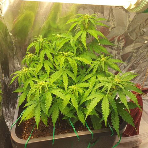 Mary ‎Lou growlog timeline photo