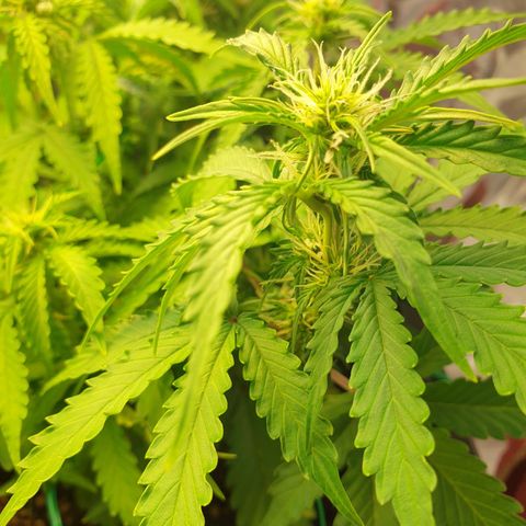 Mary ‎Lou growlog timeline photo