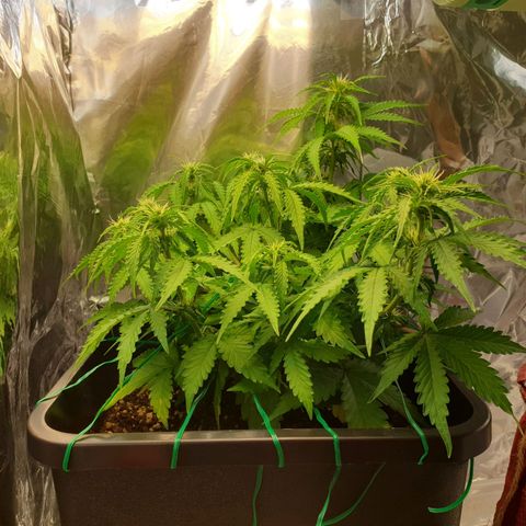 Mary ‎Lou growlog timeline photo
