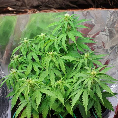 Mary ‎Lou growlog timeline photo