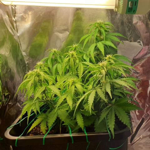 Mary ‎Lou growlog timeline photo