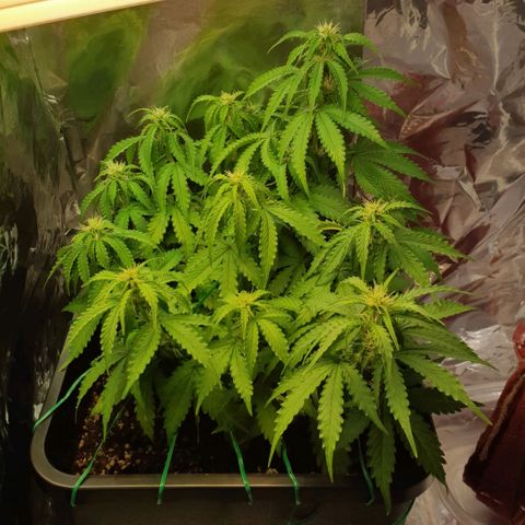 Mary ‎Lou growlog timeline photo