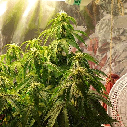 Mary ‎Lou growlog timeline photo