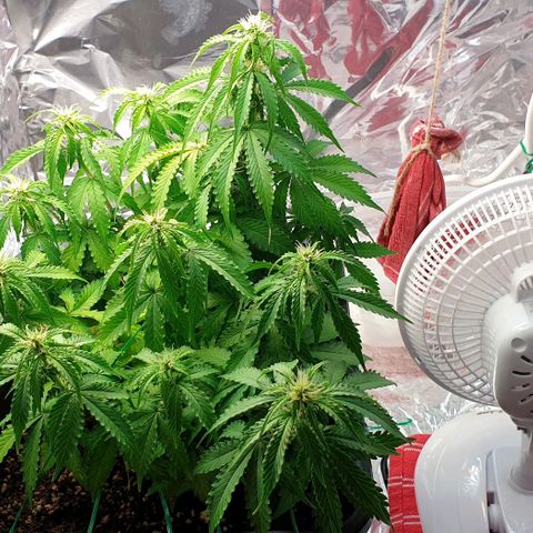 Mary ‎Lou growlog timeline photo