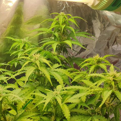 Mary ‎Lou growlog timeline photo