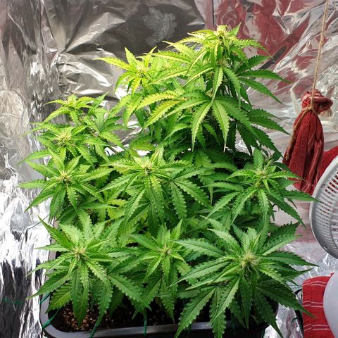 Mary ‎Lou growlog timeline photo
