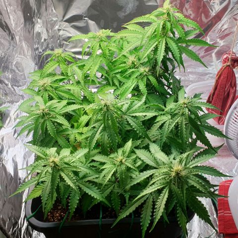 Mary ‎Lou growlog timeline photo