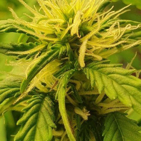 Mary ‎Lou growlog timeline photo