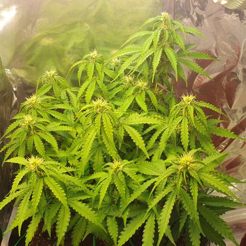 Mary ‎Lou growlog timeline photo