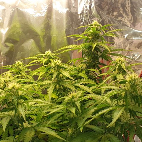 Mary ‎Lou growlog timeline photo