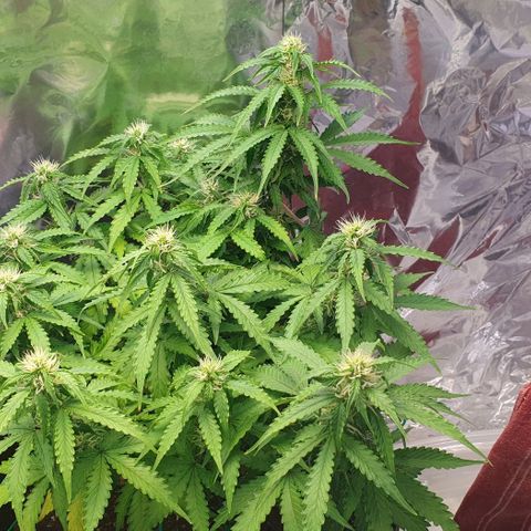 Mary ‎Lou growlog timeline photo
