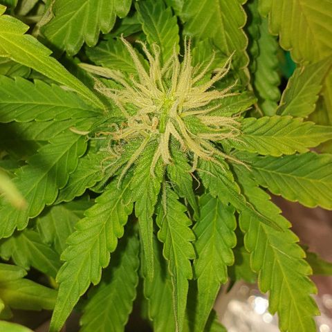 Mary ‎Lou growlog timeline photo