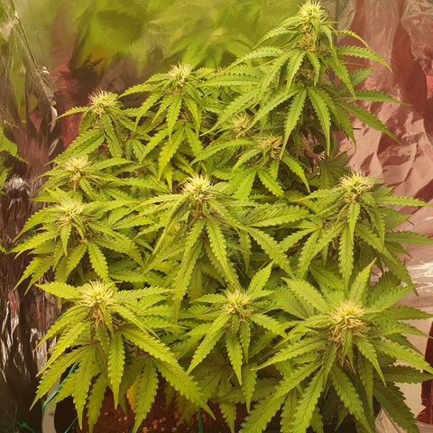 Mary ‎Lou growlog timeline photo
