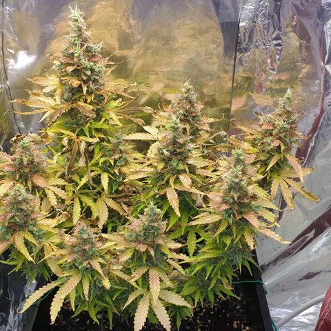 Mary ‎Lou growlog timeline photo