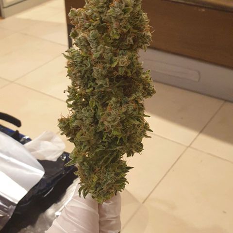 Mary ‎Lou growlog timeline photo