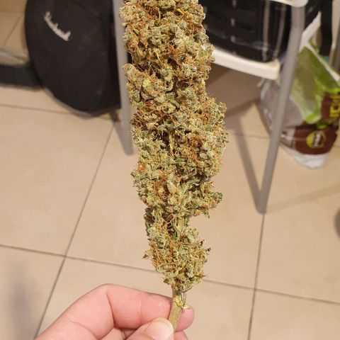 Mary ‎Lou growlog timeline photo