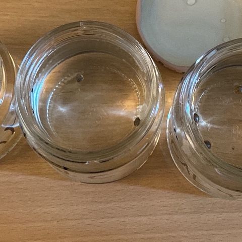 Critical Mass (Advanced Seeds)  growlog photo