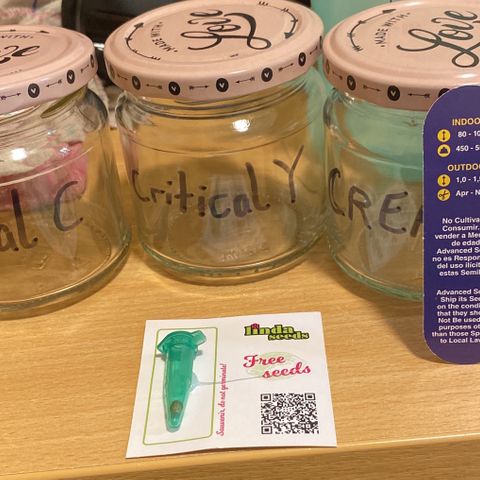 Critical Mass (Advanced Seeds)  growlog photo