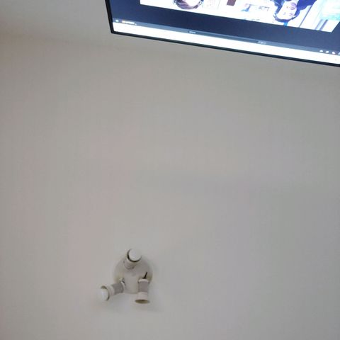 Unknown strain growlog photo