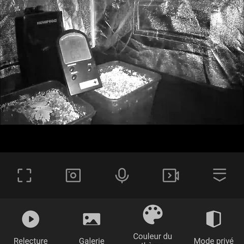 Special Kush #1 80x80x160 PureLED Q150W V2.0 growlog photo: 19,8 ° et 65 humidité vers 02h45