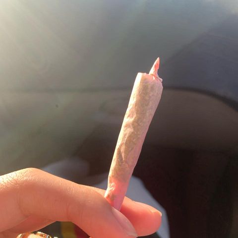 Magnum Sandita growlog timeline photo