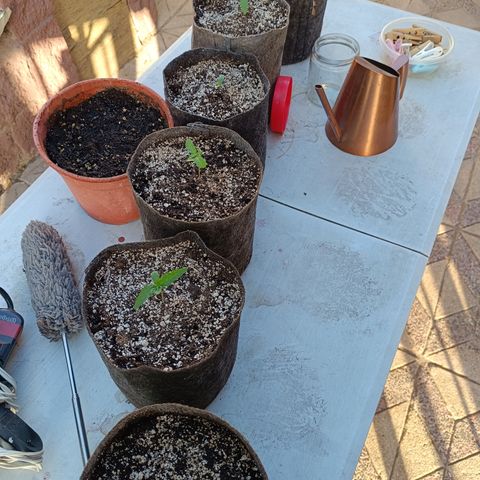 Rhino Ryder + Chemdawg / Sandita growlog timeline photo