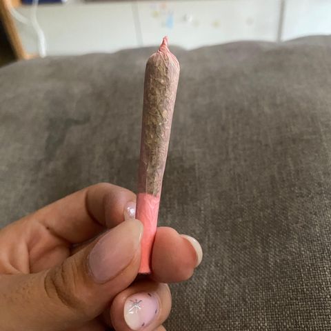 Rhino Ryder + Chemdawg / Sandita growlog timeline photo