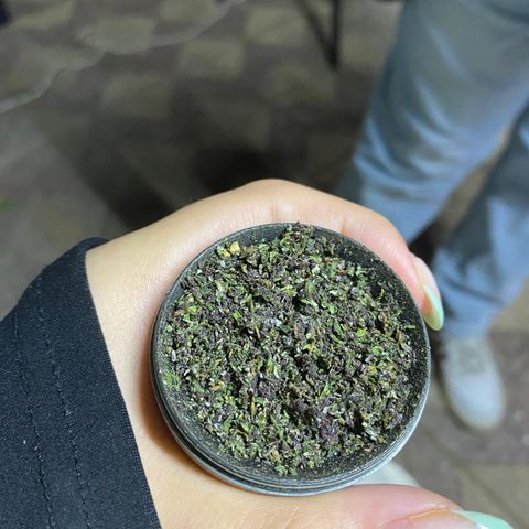BananaPurplePunchAuto / Niquito growlog timeline photo