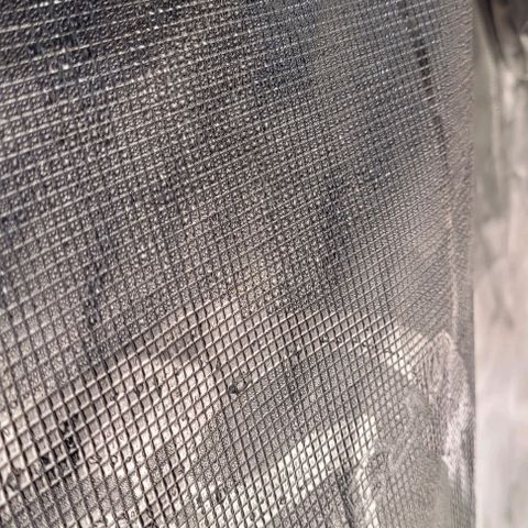 Orange Cookies growlog photo: Humidity got over 90 wiped down and vacuumed. Aired out 