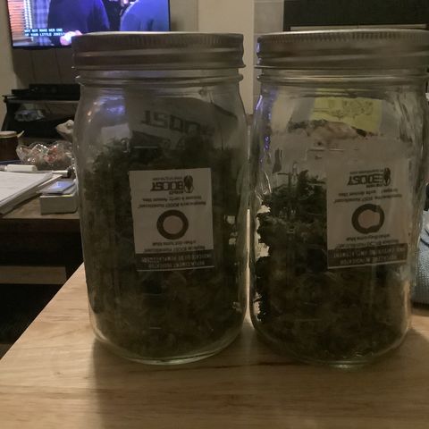 Chocolate Thai  #1 pot 1 growlog photo: This was the top branch that broke off due to massive cola. Nice yield. 