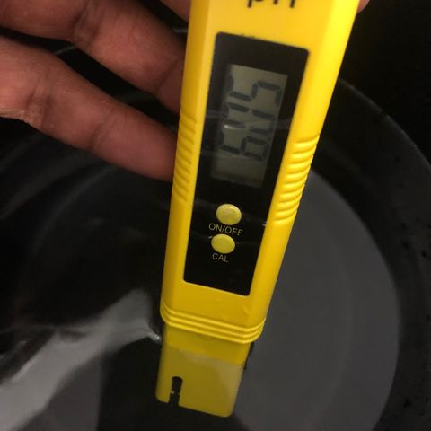 24k Gold growlog timeline photo