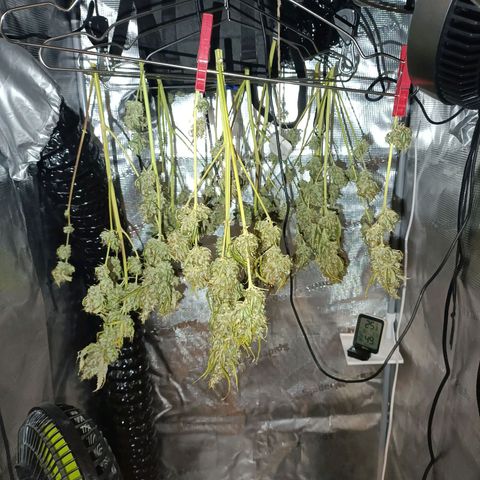 Waltraud growlog timeline photo