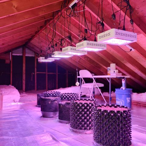 Revolver #2 growlog photo: Room Pictures