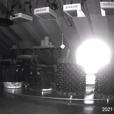 Revolver #2 growlog photo: Room Pictures