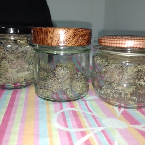 Banana Purple Punch #4 e #5 growlog timeline photo