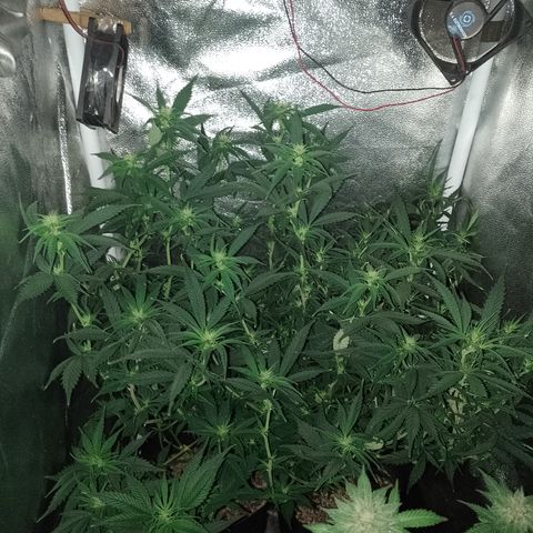 6 growlog timeline photo
