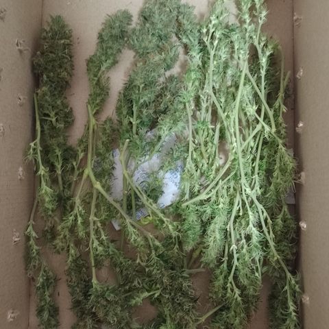 6 growlog timeline photo