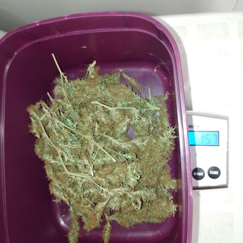6 growlog photo: 15.7g
