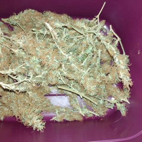 6 growlog photo: 15.7g