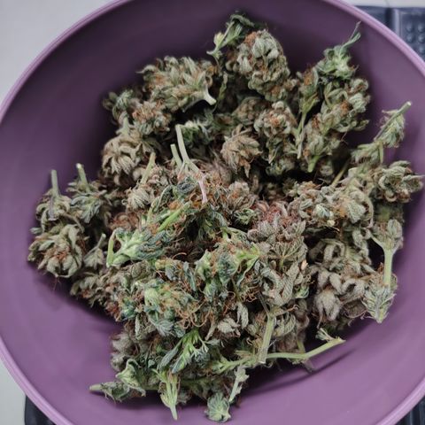 Jamaica growlog photo: 22.9g