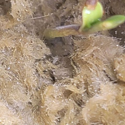 #3 growlog timeline photo