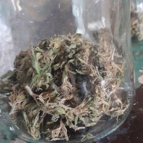 Origins growlog timeline photo