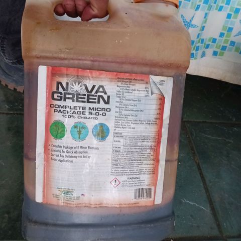 Blazing Dragon growlog photo: Nova Green mezclado con agua. 
Alaska en vomposta de tierra de ganado de vaca.