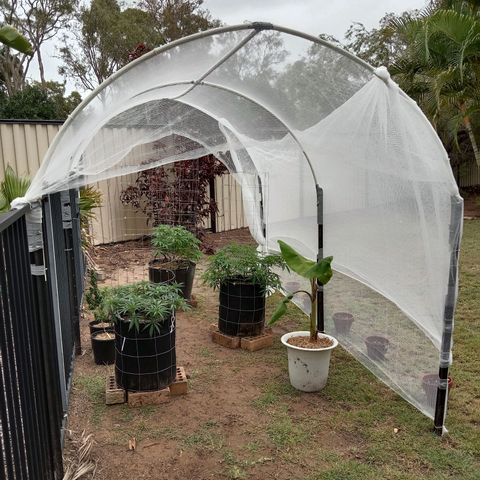 Doorman Lights #2 growlog photo: Progress. All