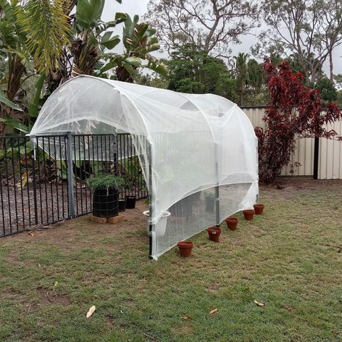 Doorman Lights #2 growlog photo: Progress. All